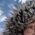 K C Cole Brake's profile image