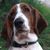 Lorie Lynn's profile image
