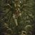 Margot Gasio's profile image