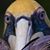 John Roberts's profile image