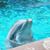Candi DeZeller's profile image