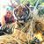 Nichole Stieve's profile image