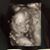 Savanah Sweitzer's profile image