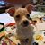Beckie Woods's profile image