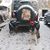 Karen L Scoggin-Murphy's profile image