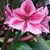 Sandra Hammel Ritch's profile image