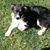 Tom Mulhall's profile image