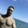 David Kern's profile image
