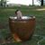 Devon Turnbull's profile image
