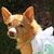Melissa Walton's profile image