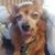 Jazmine Ruiz's profile image