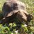 Jo Frampton's profile image