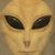 Andrea M B Stanley's profile image