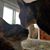 Glori Graham's profile image