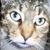 Lydia King Hargis's profile image