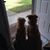 Julie Grant Bickers's profile image