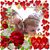 Cindy Poole's profile image