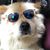 Nanette Jones's profile image