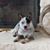 Dennis McMahan's profile image