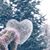 Mary Kay Scott's profile image