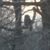Diane AndChristopher Coyne's profile image