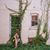 Jessica McCarty-Carvajal's profile image