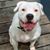 Beverly Dubois's profile image