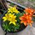 Denise Frisby's profile image