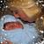 Susan A. Guerrero's profile image