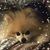 Rose Medina's profile image