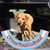 Dawn R Rankin's profile image
