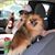 Evelin Gonzalez's profile image
