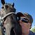 Stephanie Zinn's profile image