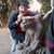 Madman Madriaga's profile image