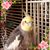 Jacquie Wedeman's profile image