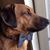 Brandon Hamahashi's profile image