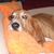 Pam Cournyea's profile image