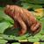 Peter J. Shepherd's profile image