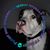 Rachel Toliver's profile image