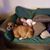 Katie Mofield Manning's profile image