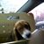 Gabriela Knight's profile image