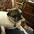Mary Gallup's profile image