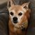 Lori Luna's profile image