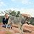 Karen L. Godwin's profile image
