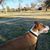 Greg Larimore's profile image