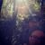 Margie Acuff's profile image