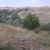 Recep Ev's profile image