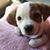 Carole Bradford's profile image
