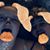 Ashley Zanoni's profile image