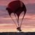 Bethi Fraser's profile image